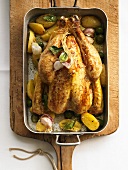 Roast chicken with bay leaves, olives and potatoes
