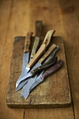 Various kitchen knives on a wooden board