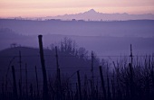 Langhe wine-growing area, Piedmont, Italy
