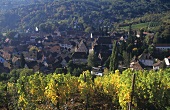 View of Andlau, noted wine village in Alsace, France