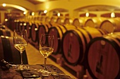 Wine cellar of Cantina Jermann, Friuli, Italy