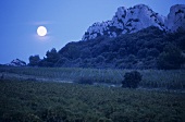 Weinbau bei Les Baux, Provence, Frankreich