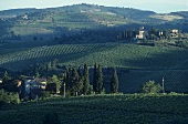 Chianti vineyards near Greve, Chianti Classico, Tuscany