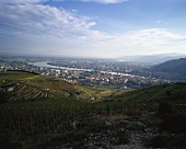 Tain-l'Hermitage, Rhone Valley, France