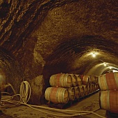 Wine cellar in California, USA