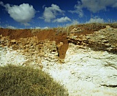 Typisches Bodenprofil, Coonawarra, Südaustralien