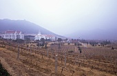 Huadong Winery, Qingdao (Tsingtao), China