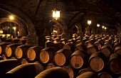 Santa Rita Winery, Buin, Maipo Valley, Chile