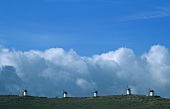 Windmühlen über Consuegra, Kastilien-La Mancha, Spanien