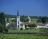 Das Dorf Aloxe-Corton, Côte d'Or, Burgund, Frankreich