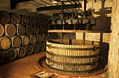 Wine cellar, Bodegas Marqués de Murrieta, Logrono, Rioja, Spain