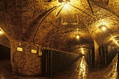 Rovellats bottle cellar, Penedes, Spain