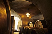 Old barrel cellar, Tenuta San Leonardo, Borghetto, Trentino, Italy