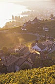Aran, hamlet in Appellation Villette, Lavaux, Vaux, Switzerland