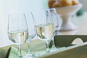 White wine in glasses on a tray