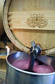 Barrique cellar, racking wine, Château Palmer, Margaux, France