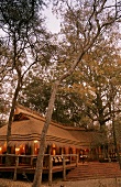 Bamboo cabin with steps leading to veranda