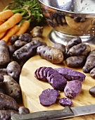 Violette Kartoffeln der Sorte 'Russian blue'