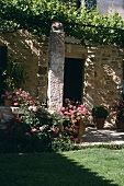 Natursteinfassade mit Weinpergola und Blumentöpfen
