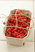 Redcurrants in a paper basket