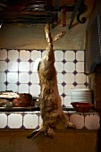 A hare hanging in a restaurant kitchen