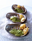 Mussels with a caramel and herb sauce