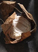 Banon (soft cheese made of goat's cheese in chestnut leaves, France)