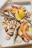 Fritto misto (deep-fried seafood, Italy)