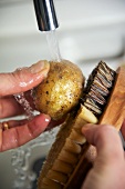 Potatoes being washed with a brush under running water