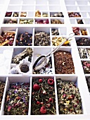 A seedling tray filled with various types of tea