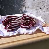 Radicchio di trevisiano