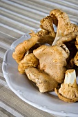 Fresh chanterelle mushrooms on a plate