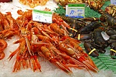 Scampi and lobster at the market (Mercat de St. Josep (Boqueria), Las Ramblas, Barcelona, Spain)