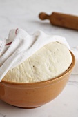 Pizza dough in bowl half-covered by tea towel