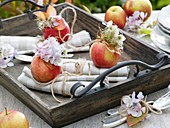 Napkin decorations (apples, hydrangeas, clematis & autumn leaves)