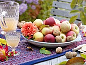 Teller mit Äpfeln (Sorte: Pinova), Walnüssen und Dahlienblüte