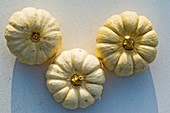 Three small white pumpkins (variety 'Baby Boo') from above