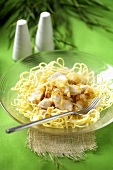 Chicken breast with egg noodles