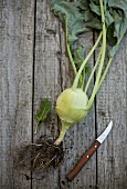 Kohlrabi with roots on wooden background, vegetable knife