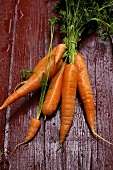 Carrots on painted wooden background
