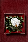 Poached egg on beetroot leaves