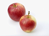 Two apples (variety Elstar)