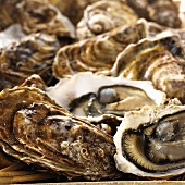 Frische Austern (Nahaufnahme)