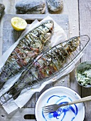 Two barbecued trout