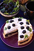 Sponge cake with blackberries