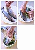 Preparing trout with herb stuffing