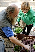 Woman buying organic peas at a market