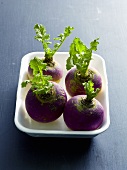 Four turnips in polystyrene tray