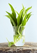 Ramsons (wild garlic) leaves in glass