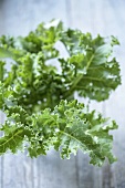 Kale on wooden background